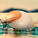 Bvlgari Aqva Divina by Bvlgari